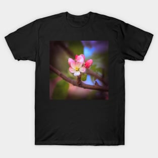 Spring tones IV T-Shirt